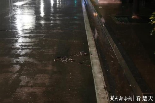 摩托车司机雨夜撞人逃逸，荆州交警四天抓住嫌疑人