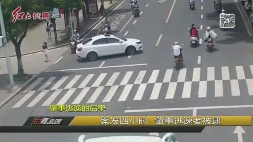 三起交通肇事逃逸的后果