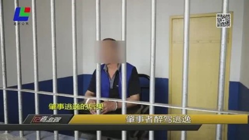 三起交通肇事逃逸的后果