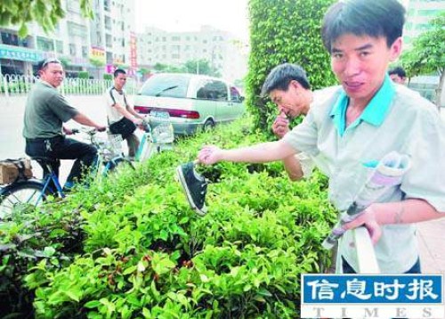 深圳校车冲上人行道19人死亡事故引发两大疑问