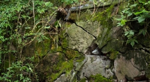 梅雨冲刷 杭州吴山护墙开裂 