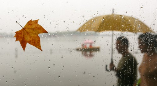 杭城秋意渐浓 雨中西湖仍现人流高峰