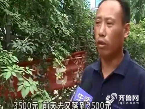 德州乐陵一停车场涉嫌乱收费 交警部门：如存问题将责令整改