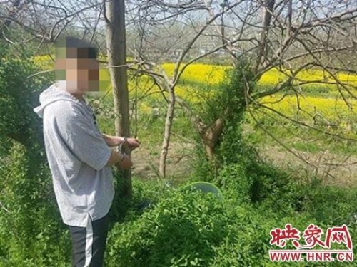 固始发生一起交通事故逃逸案 有人受伤经抢救无效死亡