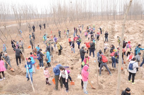 2016年东胜集团平山大吾川植树节暨创建绿色城市动员大会圆满举行