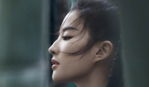 石家庄市藁城区：政策红利送到位 助复工企业轻装上阵