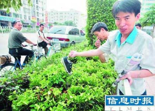 深圳校巴冲上人行道碾过38人 事故引发两大疑问