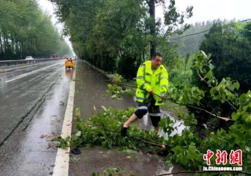 大风大雨导致路边大树倒伏，交警雨中徒手处理险情。