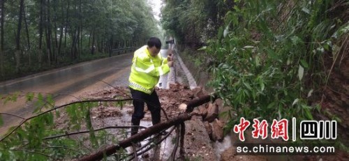 交警及时清除倒在道路上的树。 陈光永 摄