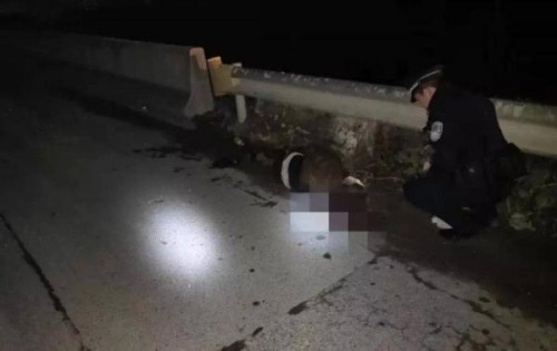 冬夜男子被撞倒路边，贞丰交警奋战6小时追查肇事者