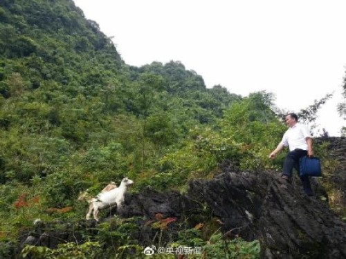 转发送别！广西扶贫干部返程途中遭车祸遇难