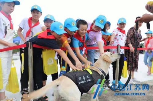 “观摩式 互动式 浸入式”盐城警方校园安全“嘉年华”让孩子快乐学安全