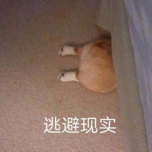 豪车女司机醉驾被查，叫嚣“把yu wei喊过来给我摆平！”全国观众沸腾了哈哈哈
