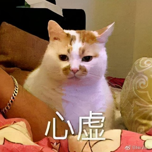 豪车女司机醉驾被查，叫嚣“把yu wei喊过来给我摆平！”全国观众沸腾了哈哈哈