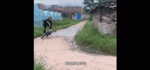 豪车女司机醉驾被查，叫嚣“把yu wei喊过来给我摆平！”全国观众沸腾了哈哈哈