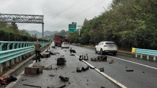 高速公路上为躲避松鼠，酿成交通事故 | 知危险会避险