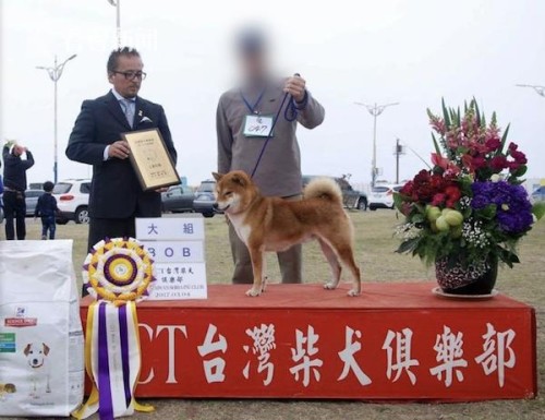 惊悚画面曝光！台湾一男子无证醉驾 撞飞五旬骑车夫妻