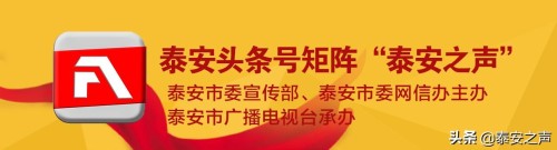 山东省最新统计显示，泰安这个路段交通事故多发！