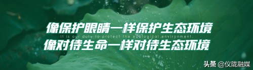 全程高能，堪比实战！仪陇开展国道G245道路交通事故抢险救援演练